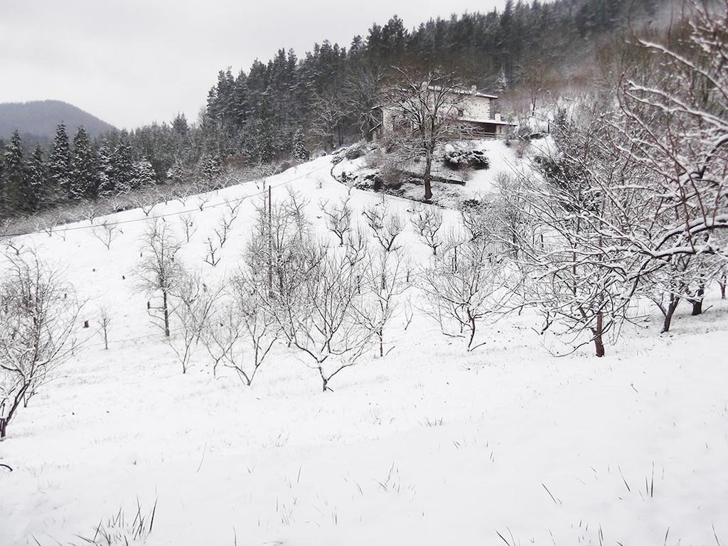 Готель Casa Rural Madariaga Artea Екстер'єр фото
